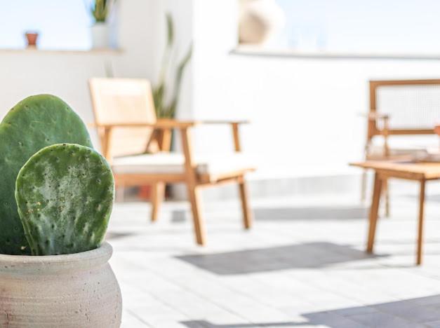 Casa Mira Luxury Sea House Fco Airport Apartment Fiumicino
