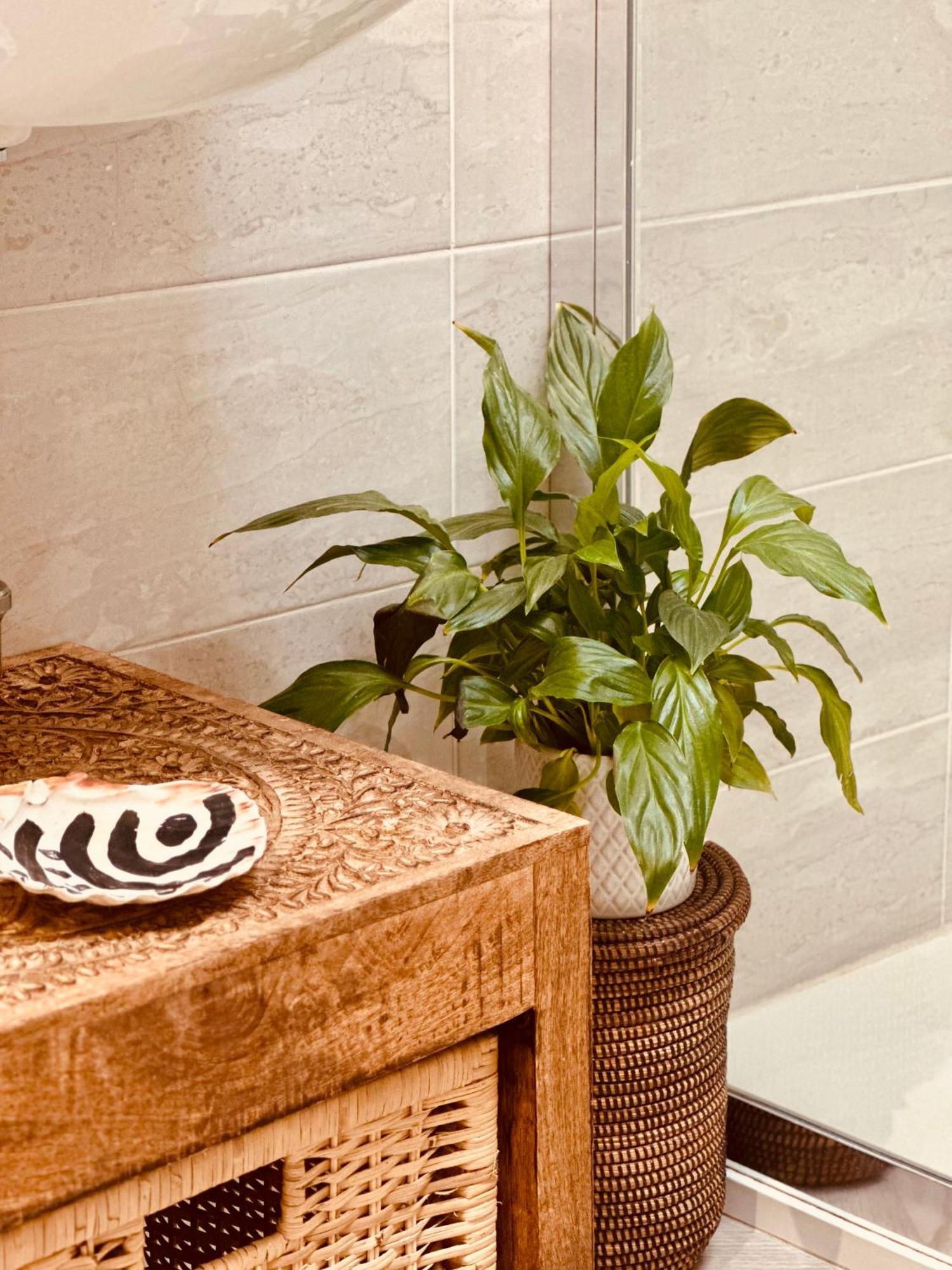 Casa Mira Luxury Sea House Fco Airport * Fiumicino
